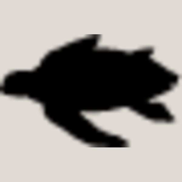 Sea Turtle3 Thumbnail