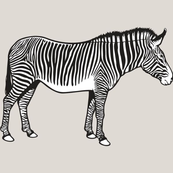 Zebra1 Thumbnail
