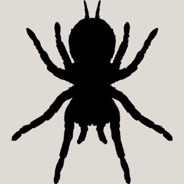 Spider Silhouette14 Thumbnail