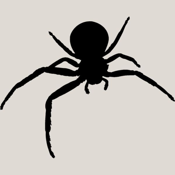 Spider Silhouette9 Thumbnail