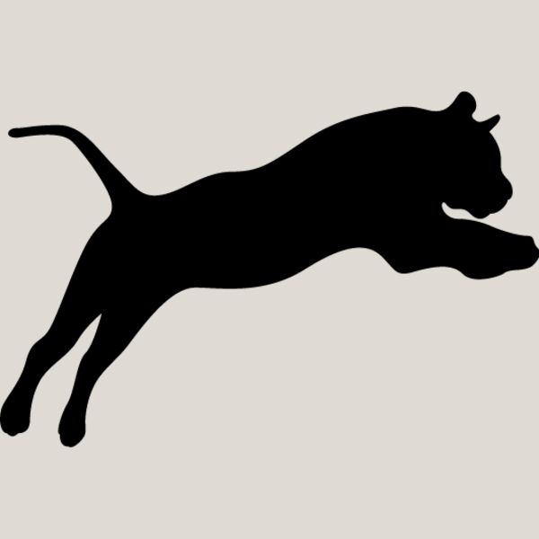 Big Cat  Tiger  Lion  Panther 6 Thumbnail