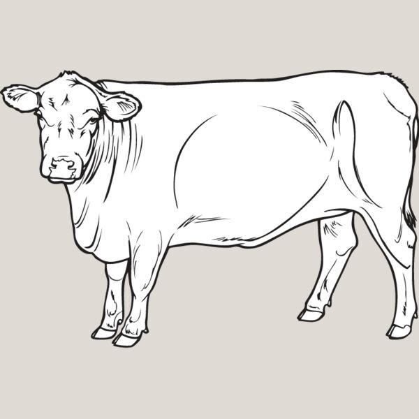Cow3 Thumbnail
