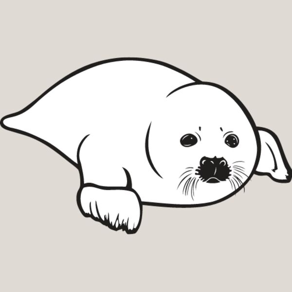 Baby Seal2 Thumbnail