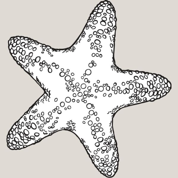 Starfish2 Thumbnail