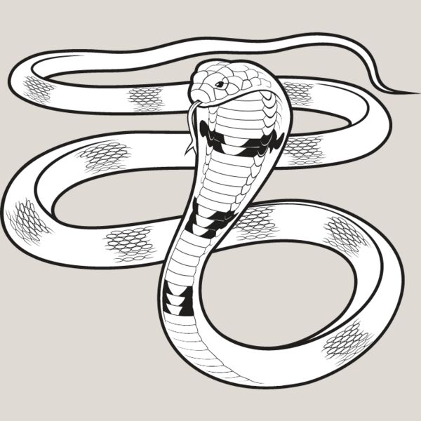 Cobra Snake Thumbnail