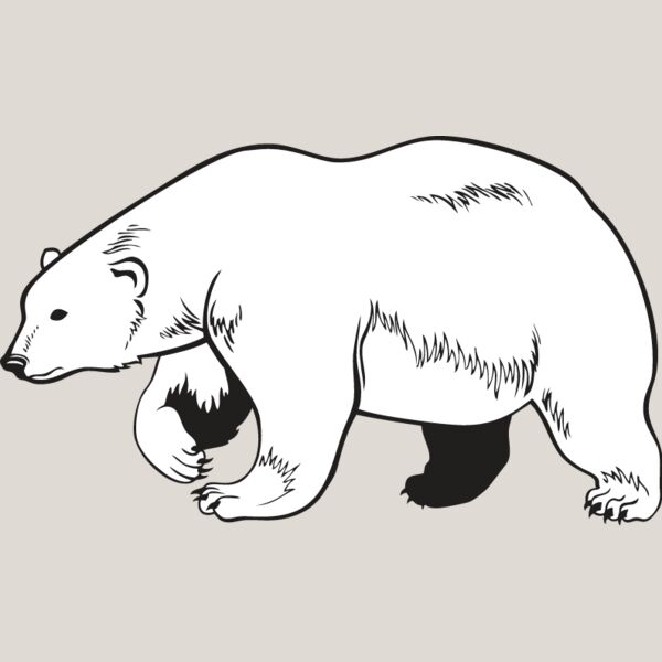Polar Bear Thumbnail