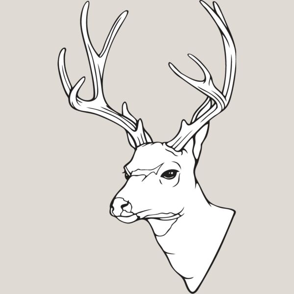Deer2 Thumbnail