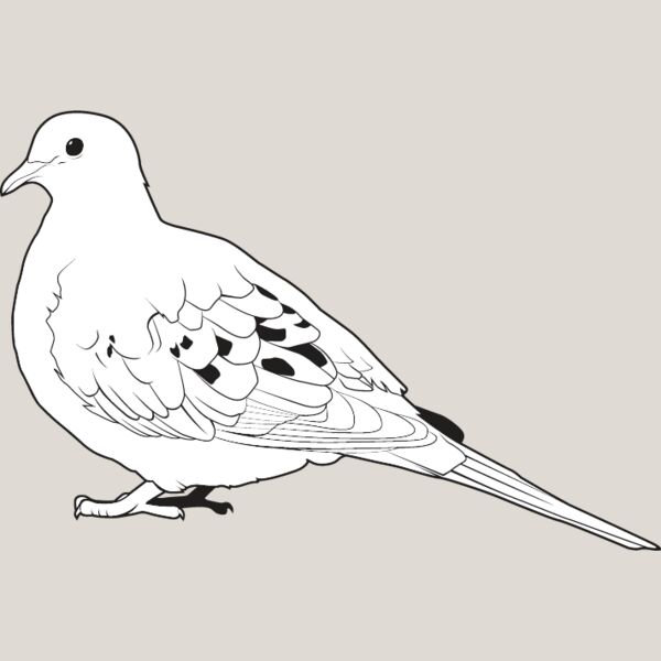 Dove Thumbnail