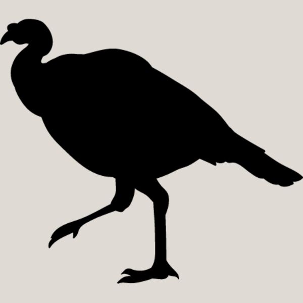 Wild Turkey3 Thumbnail