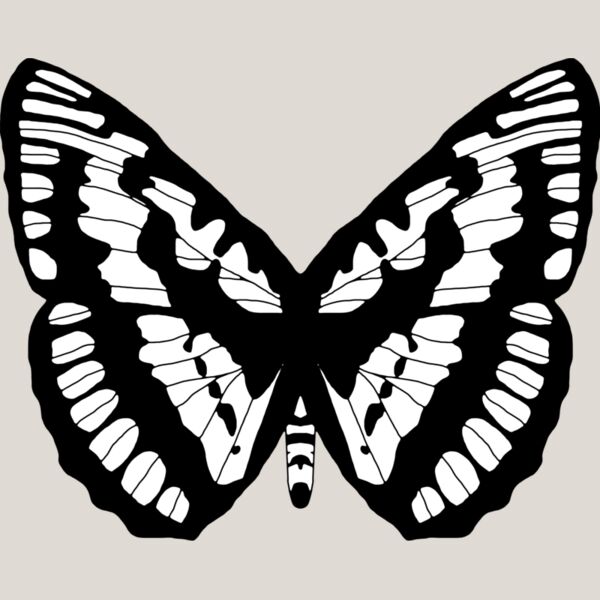 Butterfly1 Thumbnail