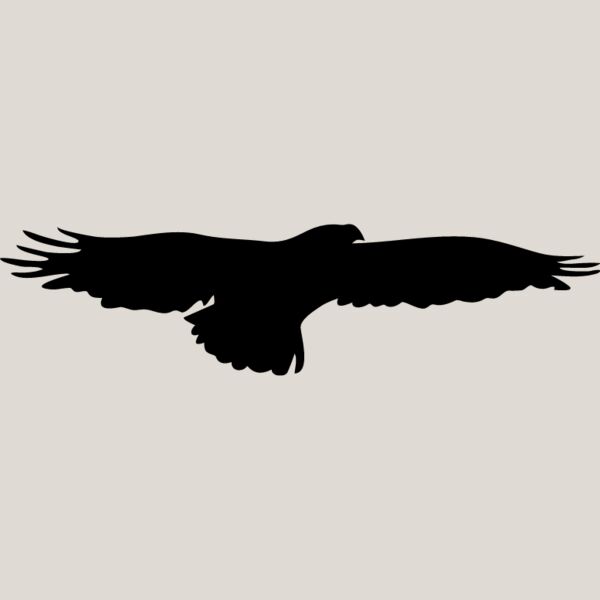 Flying Eagle Silhouette2 Thumbnail