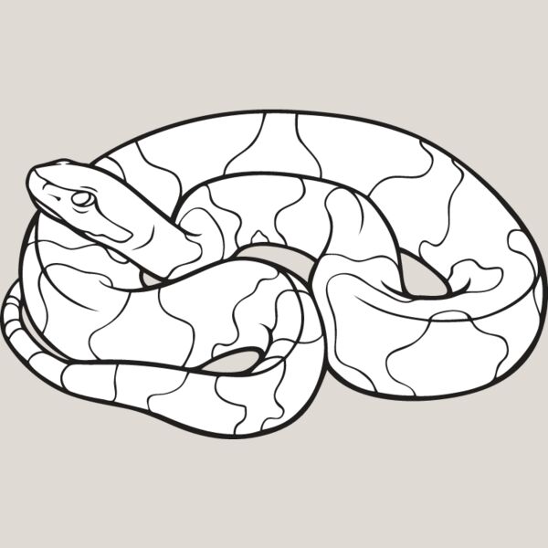 Copperhead Snake Thumbnail