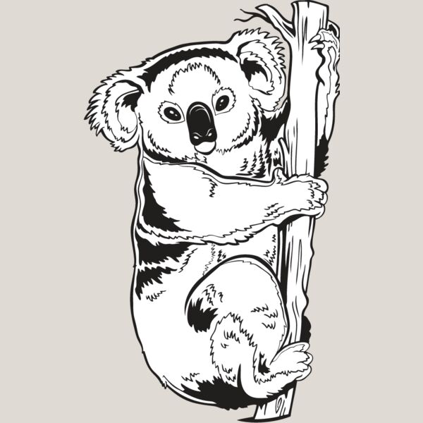 Koala Bear Thumbnail