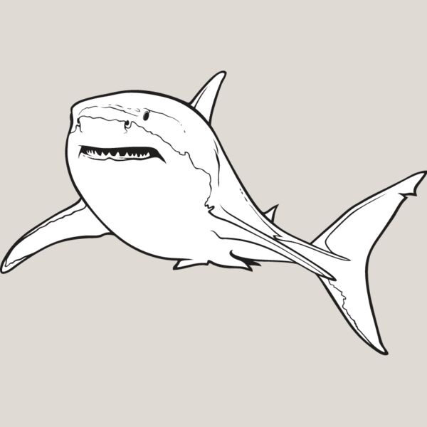 Great White Shark1 Thumbnail