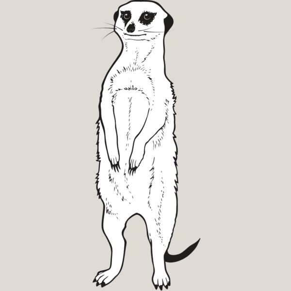 Meerkat Thumbnail