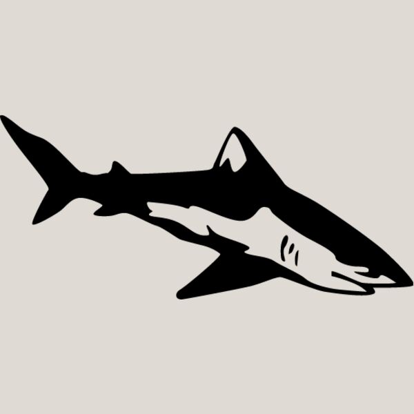 Shark1 Thumbnail
