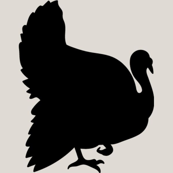 Wild Turkey4 Thumbnail