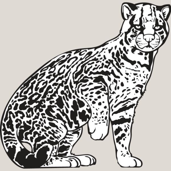 Ocelot Thumbnail