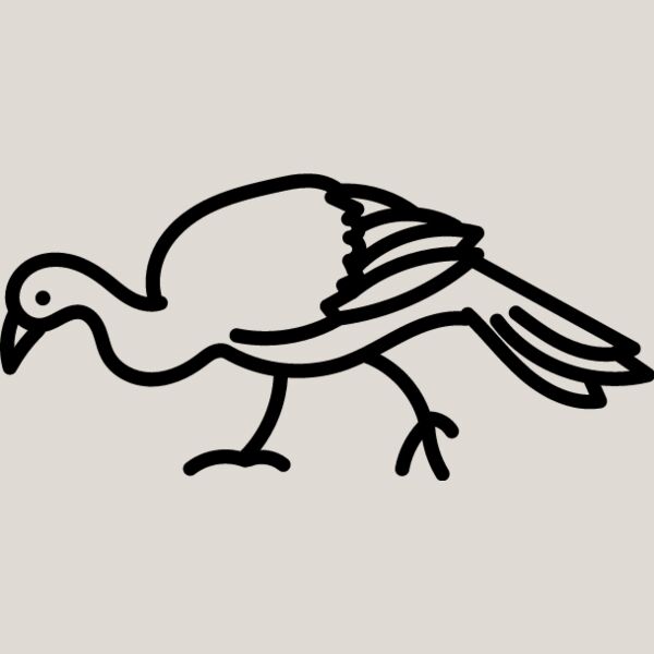 Wild Turkey Line 1 Thumbnail