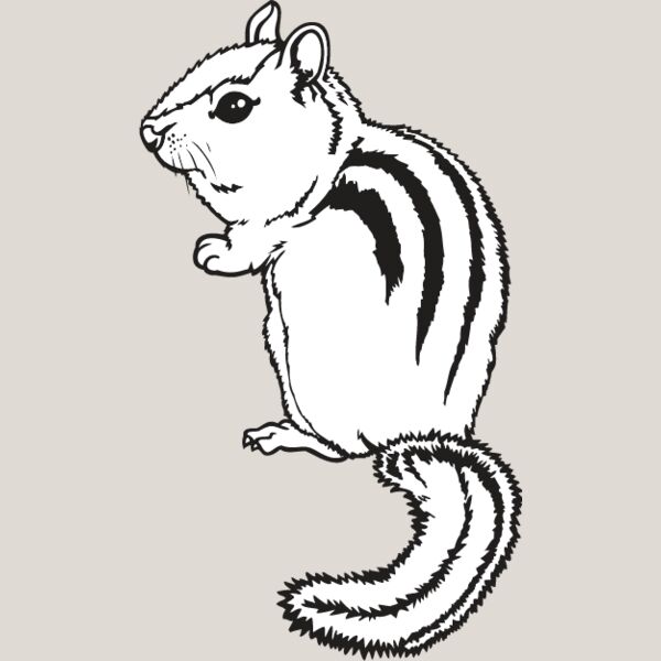 Chipmunk Thumbnail