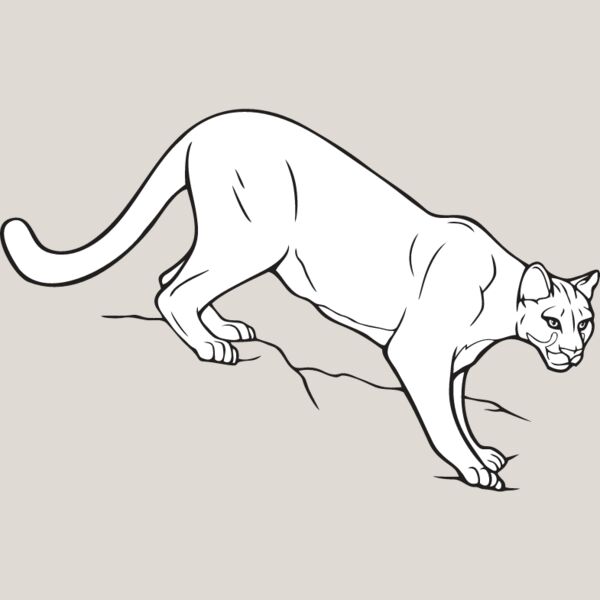 Mountain Lion Thumbnail