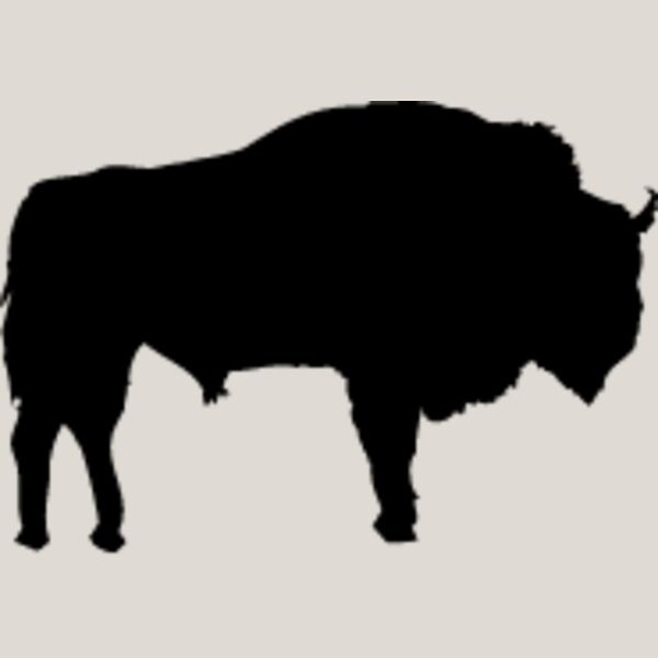 Buffalo1 Thumbnail
