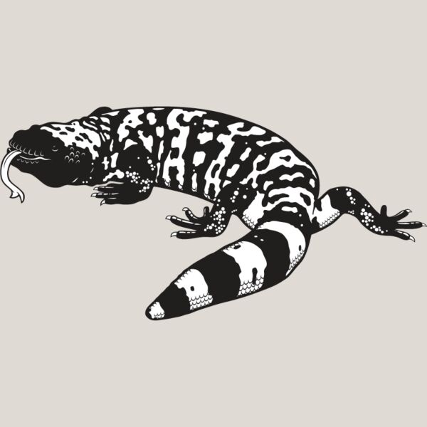 Gila Monster Thumbnail