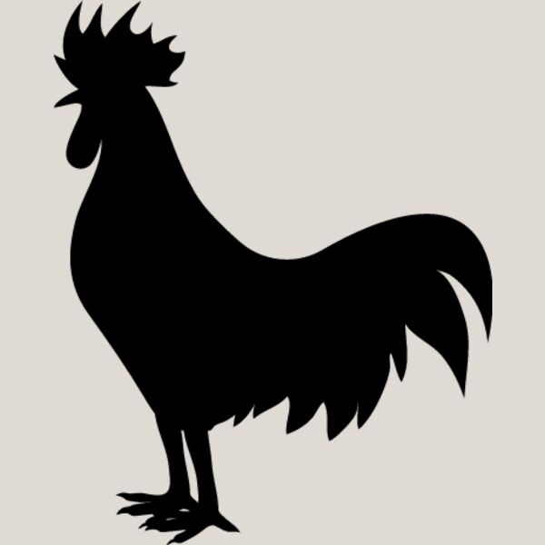 Rooster5 Thumbnail