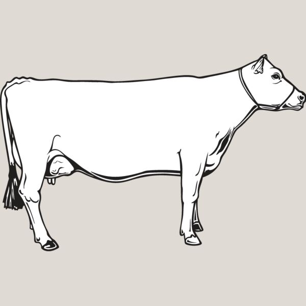 Cow7 Thumbnail