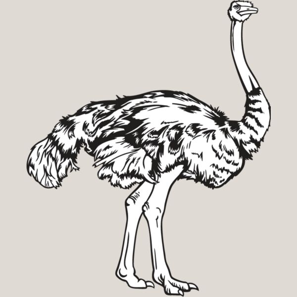 Ostrich Thumbnail