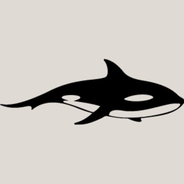 Killer Whale2 Thumbnail