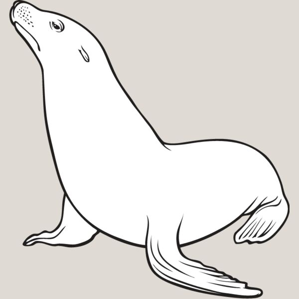 Sea Lion Thumbnail