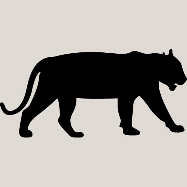 Big Cat  Tiger  Lion  Panther 1 Thumbnail