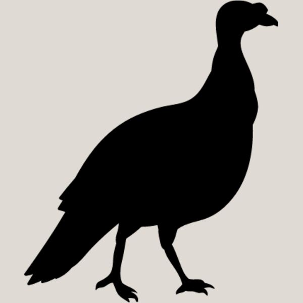 Wild Turkey2 Thumbnail