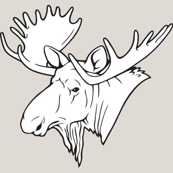Moose1 Thumbnail