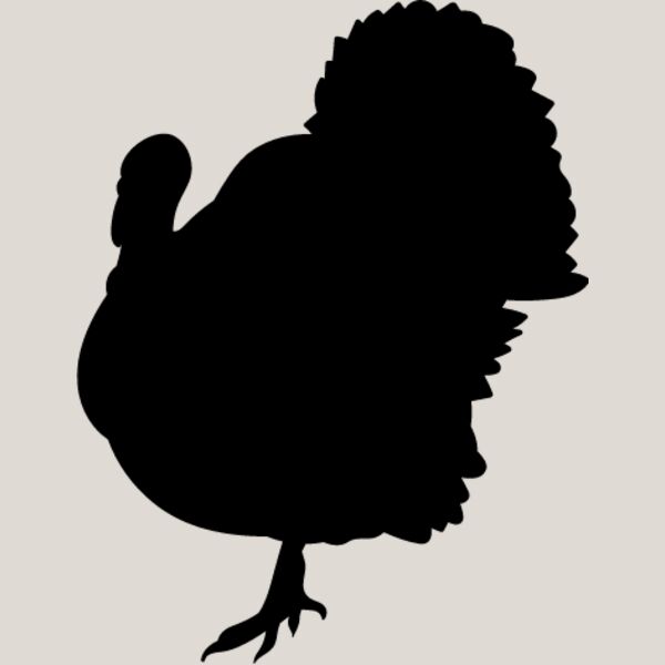 Wild Turkey5 Thumbnail