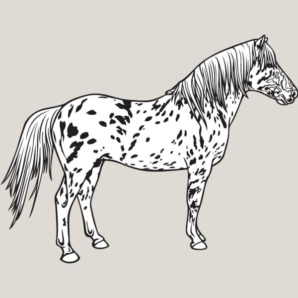Horse6 Thumbnail