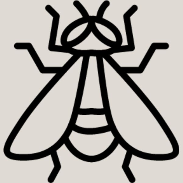 Flying Insect line 1 Thumbnail