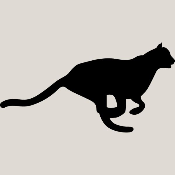 Big Cat  Tiger  Lion  Panther 23 Thumbnail