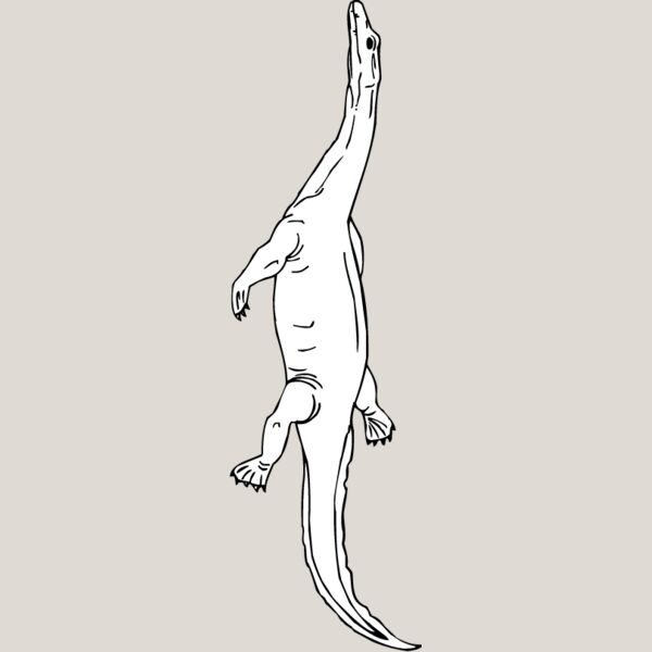 Nothosaurus Thumbnail