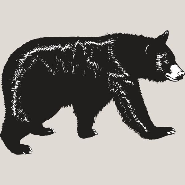 Black Bear Thumbnail