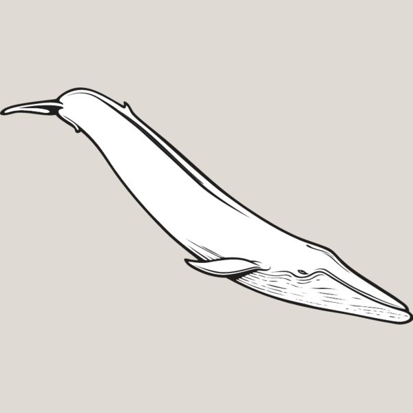 Blue Whale1 Thumbnail