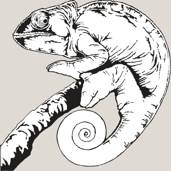 Chameleon Thumbnail