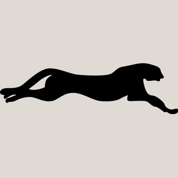 Big Cat  Tiger  Lion  Panther 24 Thumbnail