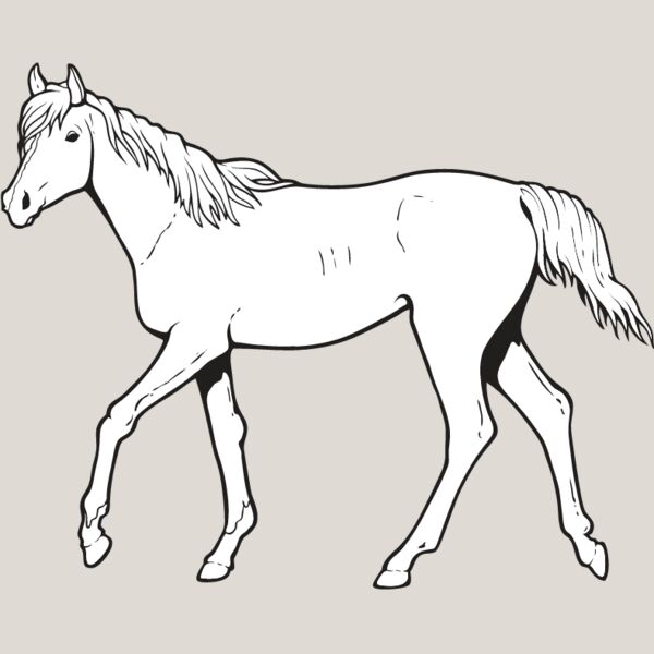 Horse7 Thumbnail