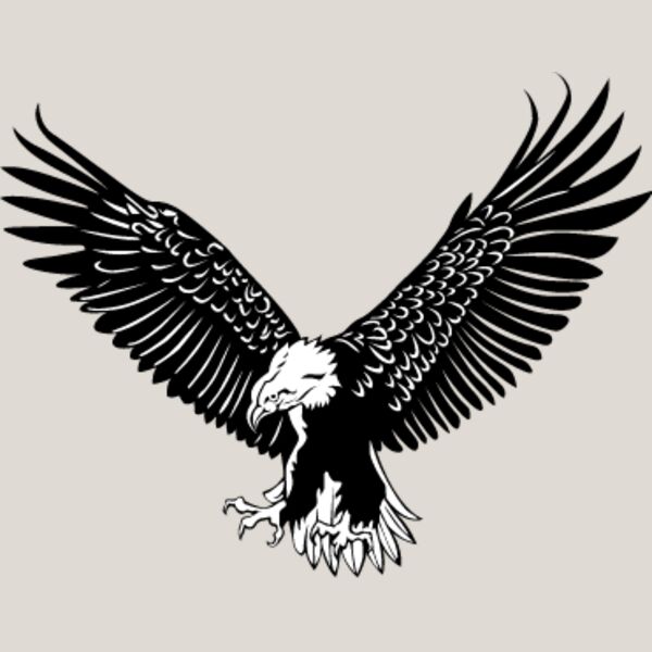 Eagle1 Thumbnail