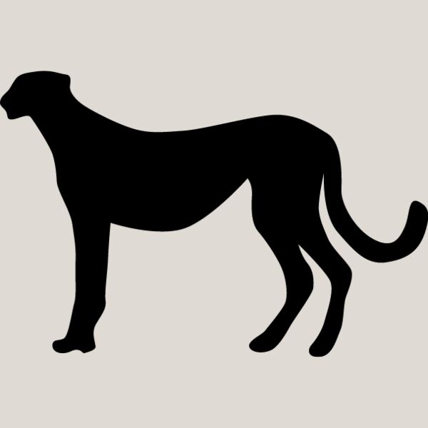 Big Cat  Tiger  Lion  Panther 26 Thumbnail