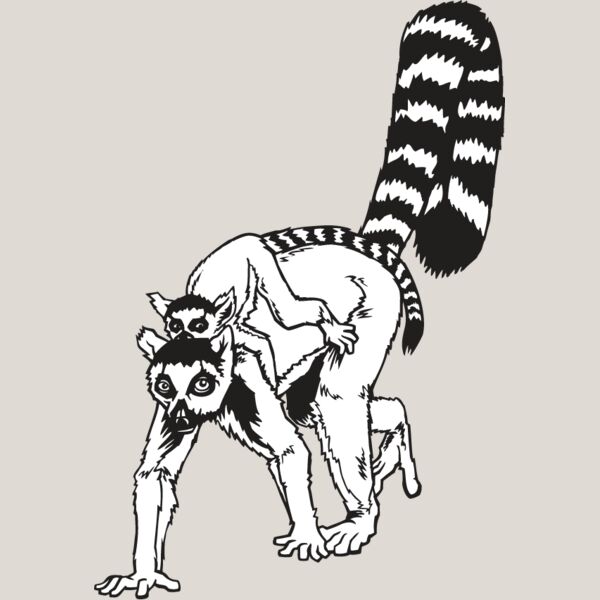 Lemur Thumbnail