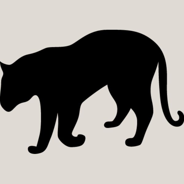 Big Cat  Tiger  Lion  Panther 3 Thumbnail