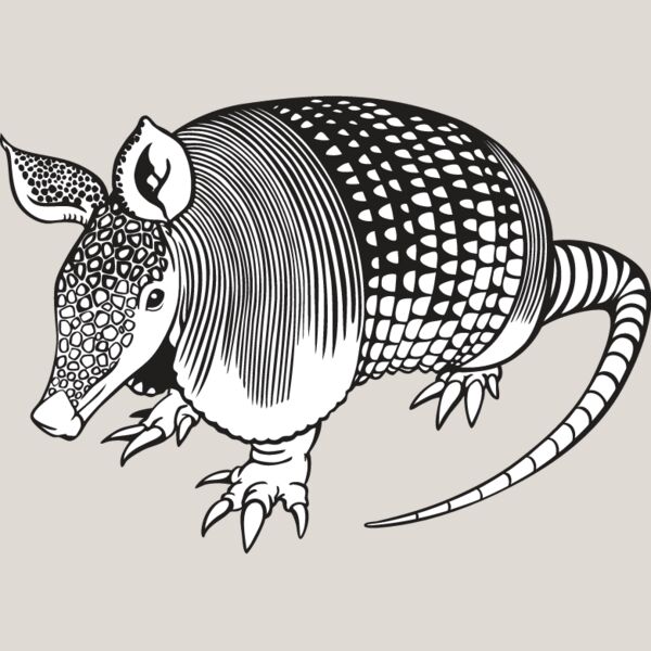 Armadillo1 Thumbnail